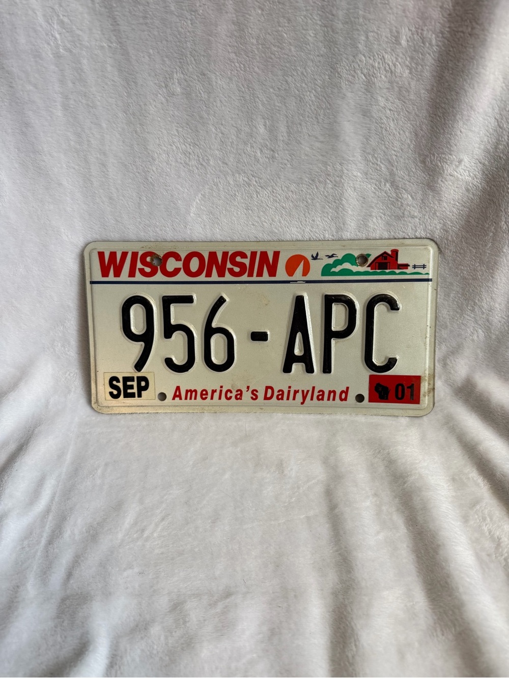 Vintage Wisconsin License Plate America's Dairyland Expired 956-APC